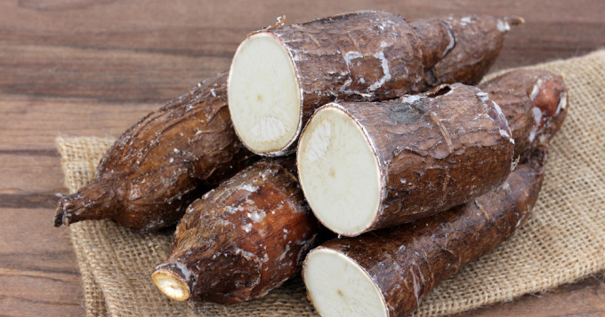 Le manioc