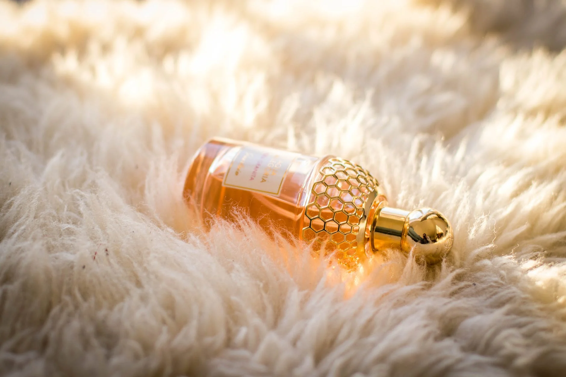 Le parfum
