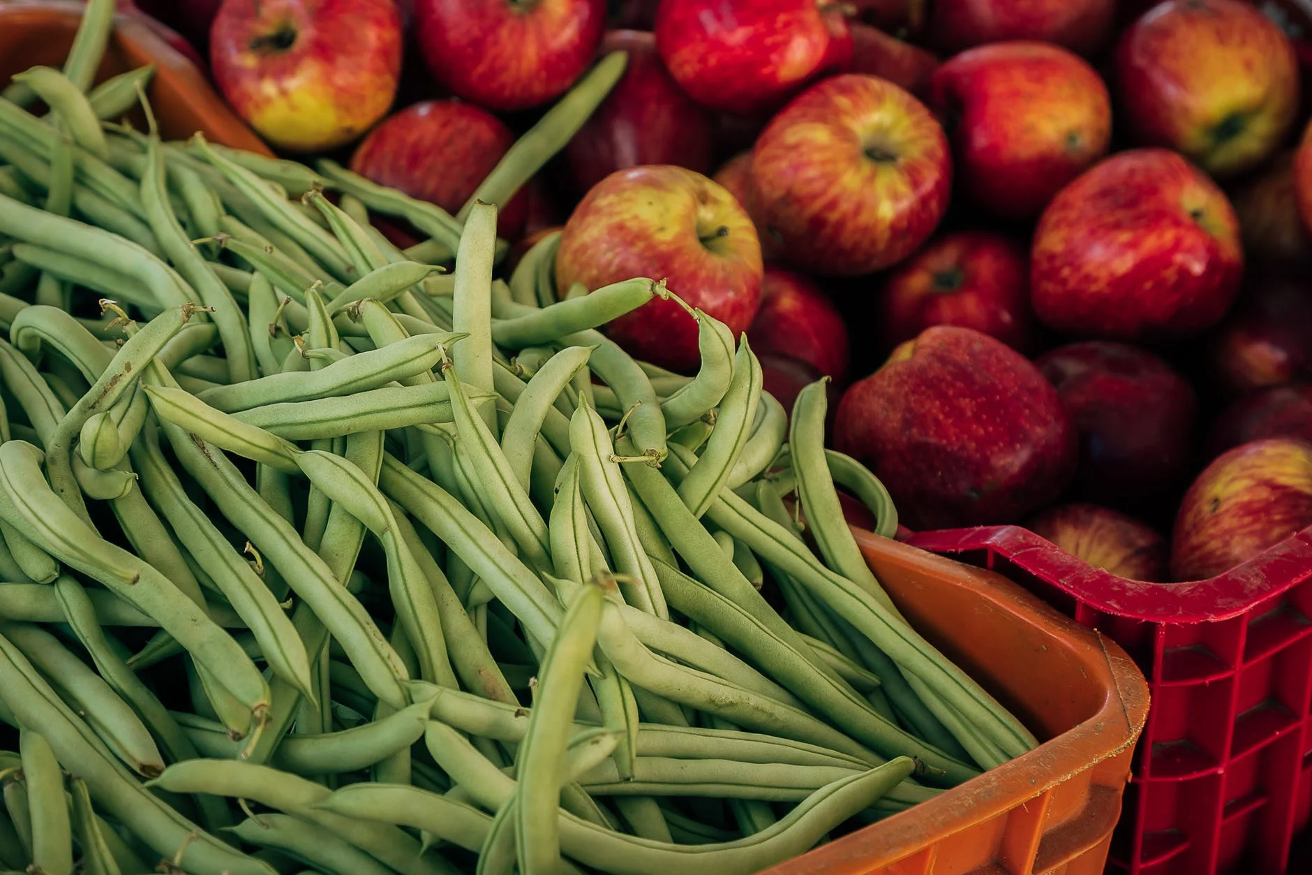 Les haricots verts sont riches en nutriments