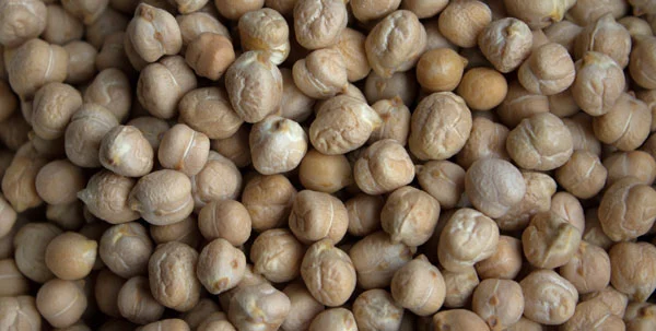 Les pois chiches sont riches en protéines végétales