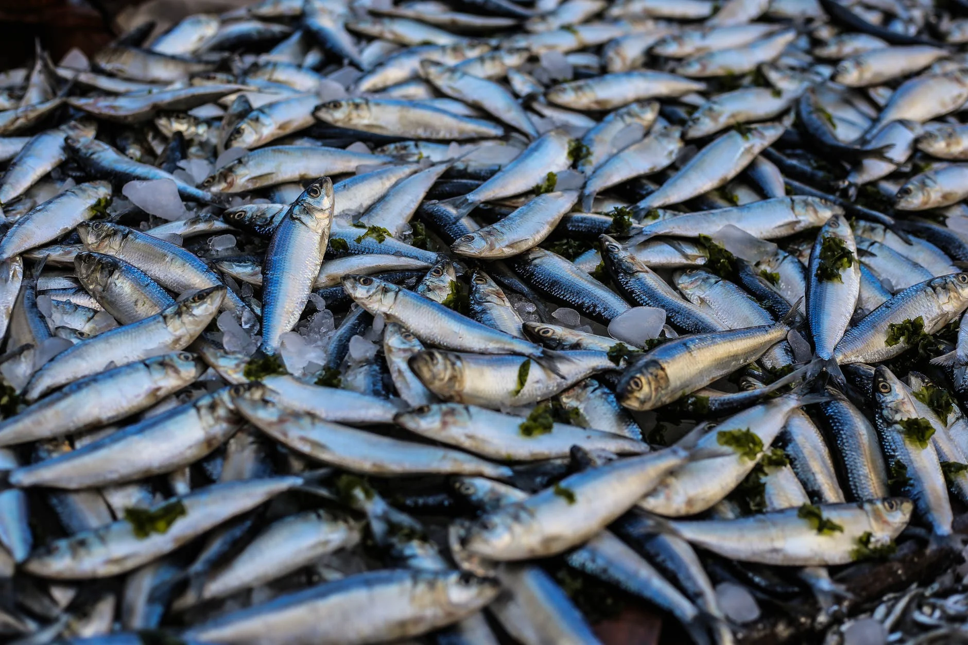Commencez par remplacer la viande rouge par de la volaille ou du poisson
