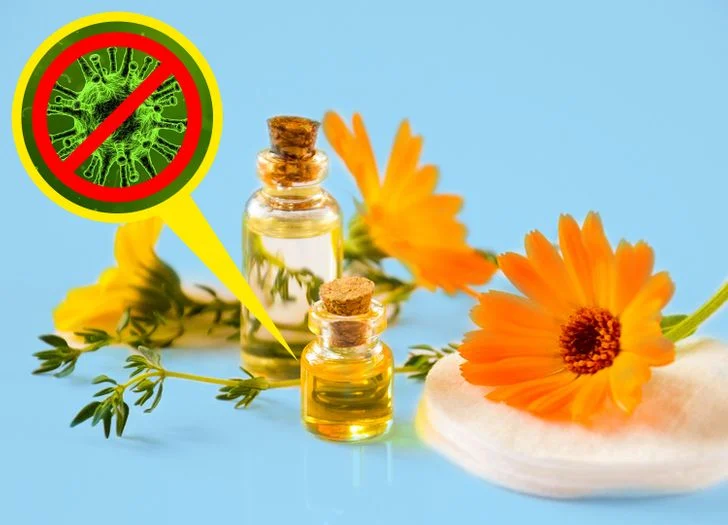 Mélangez de l'huile de calendula avec de la camomille séchée, du thé vert et de l'eau