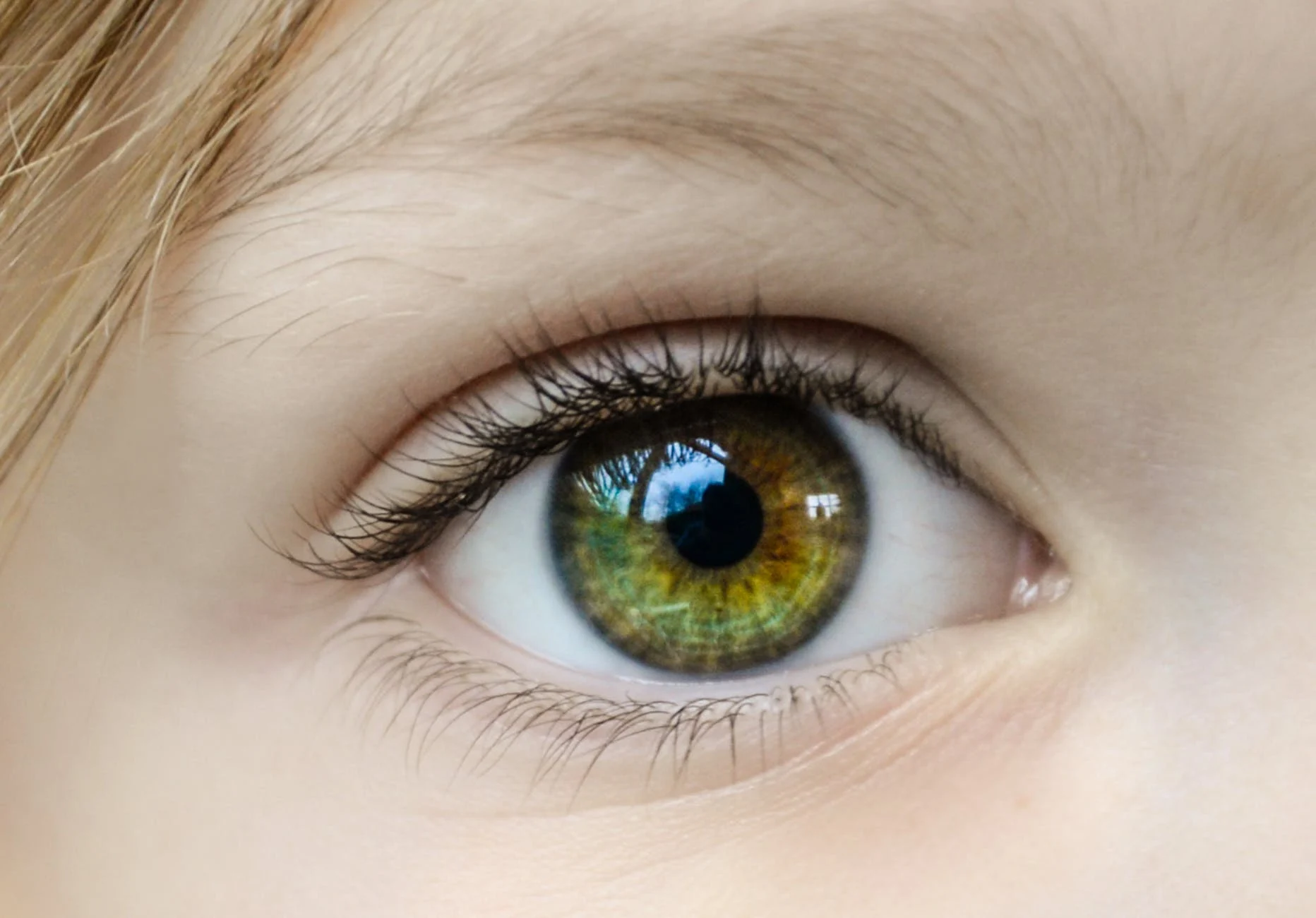 On cligne des yeux pour que notre cerveau puisse se reposer