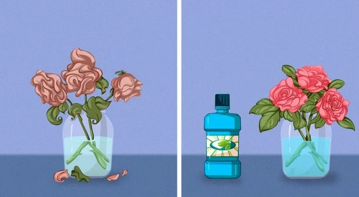 Ravivez les fleurs avec un bain de bouche