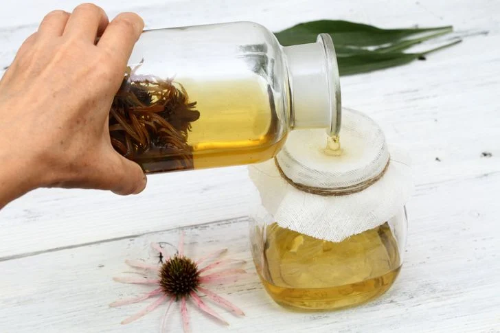 4 recettes pour booster naturellement votre défense immunitaire avant de tomber malade Teinture d'échinacée