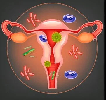Une mauvaise hygiène des organes génitaux