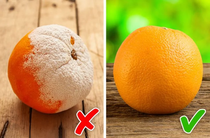 Vous pouvez être allergique aux moisissures