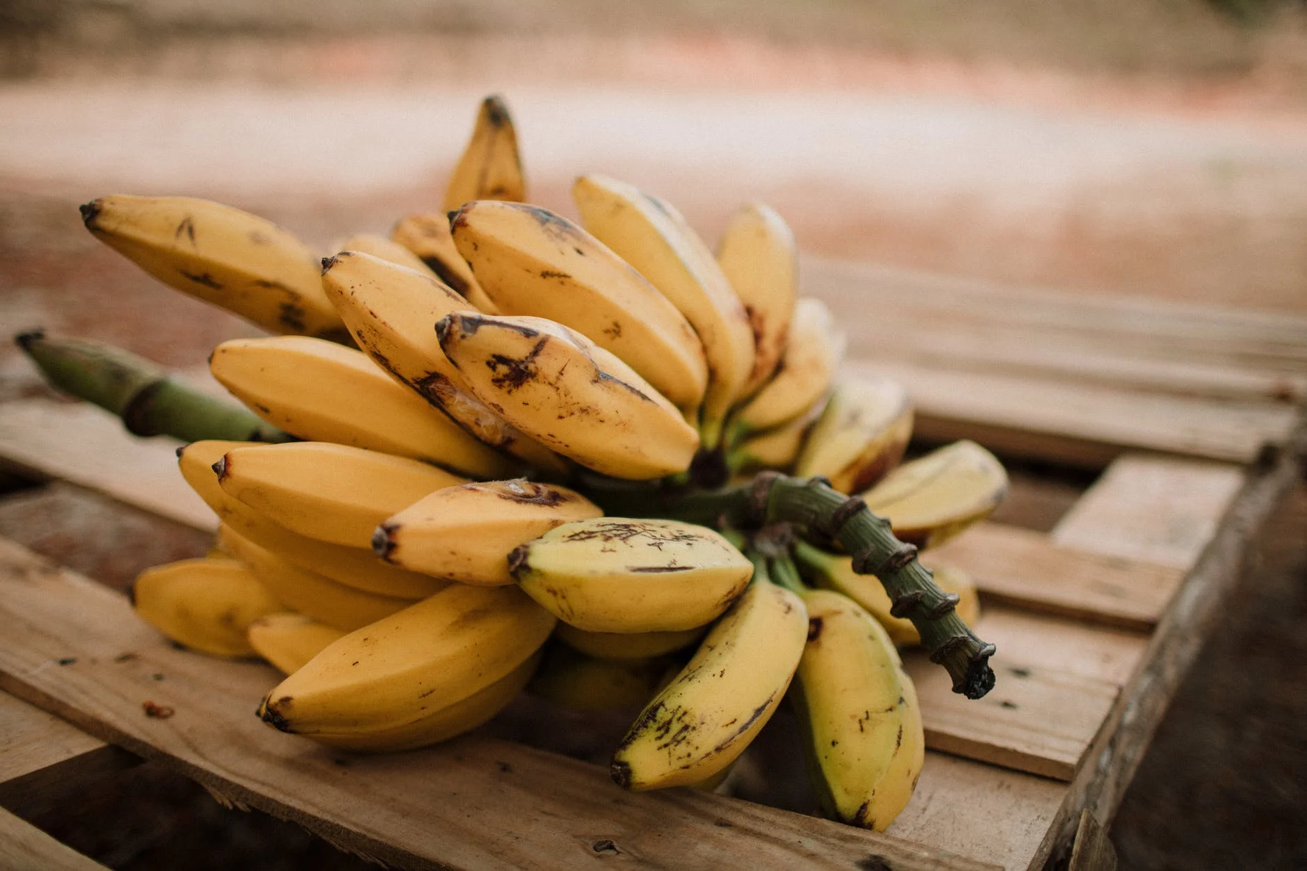intro à la banane