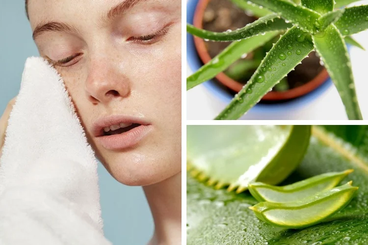 Gel nettoyant pour le visage à l'aloe vera
