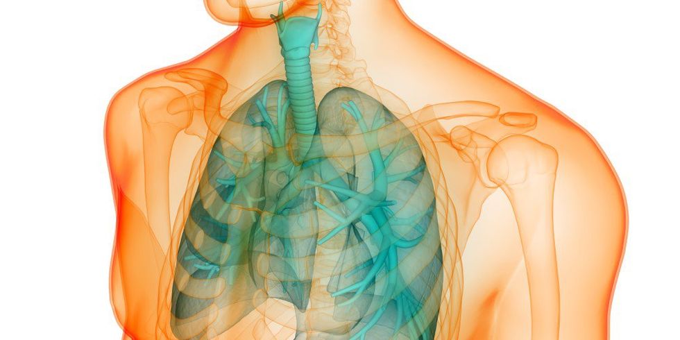 poumons douleurs thoraciques signes
