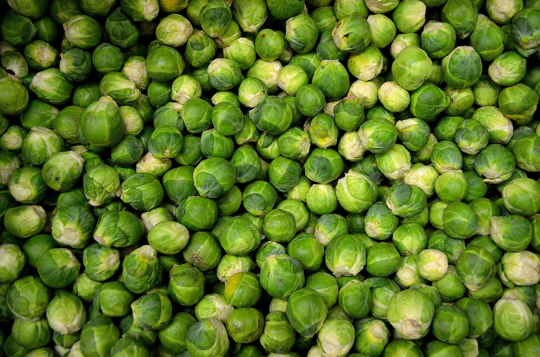 Certains légumes choux