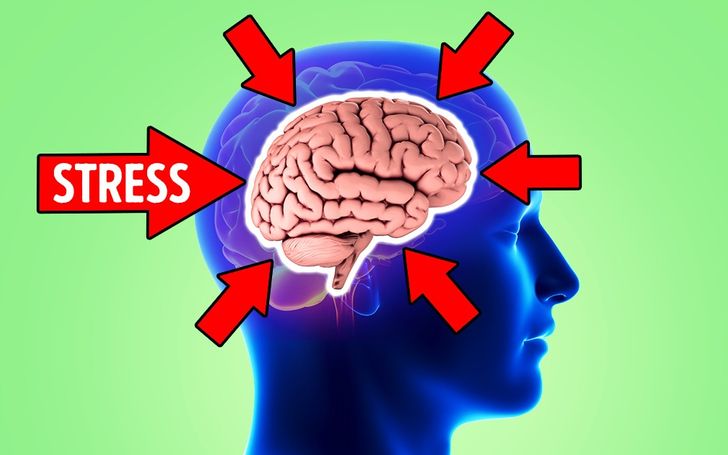 Le stress peut-il rétrécir votre cerveau