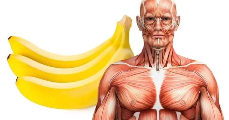 bananes Réduire le risque d'anémie