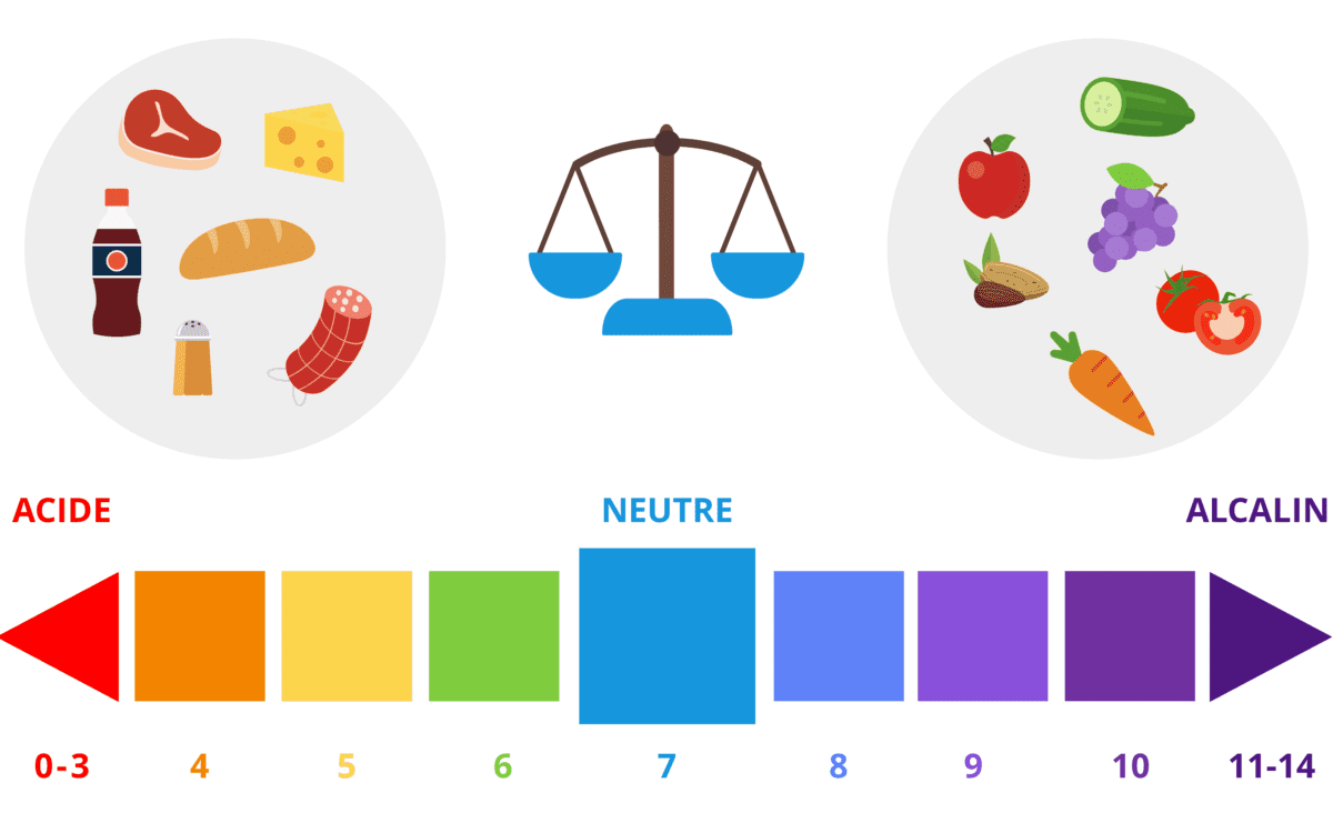 10 aliments qui permettent d’équilibrer votre pH 1 Le pH et les maladies