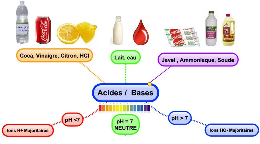 aliments qui permettent d'équilibrer votre pH