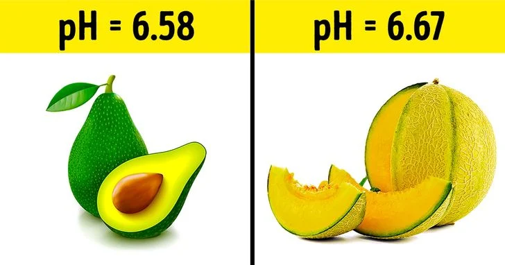 Fruits