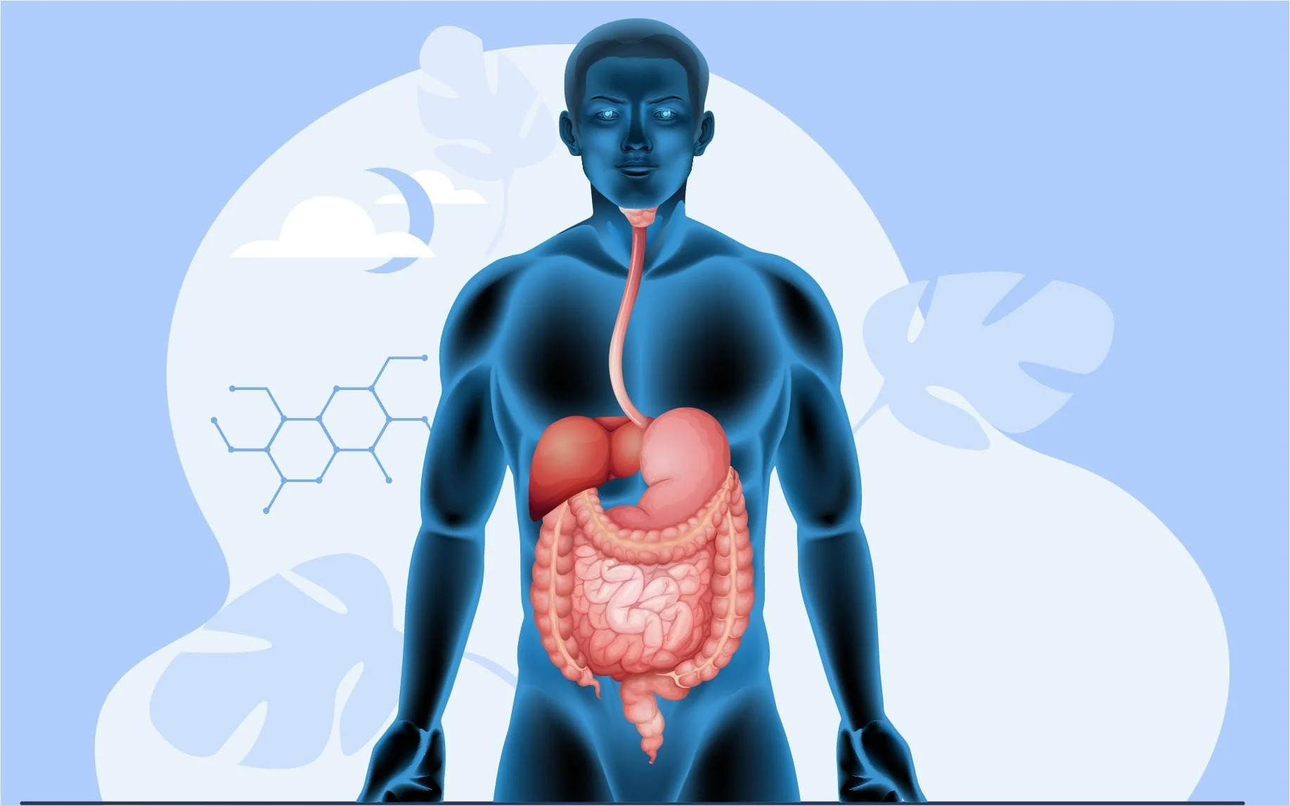 améliorer la digestion