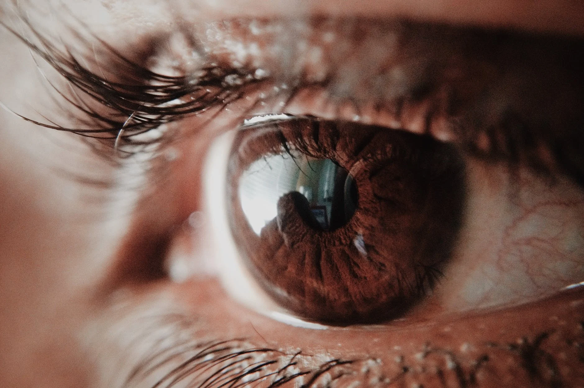 Améliorez la vision et booste le système immunitaire
