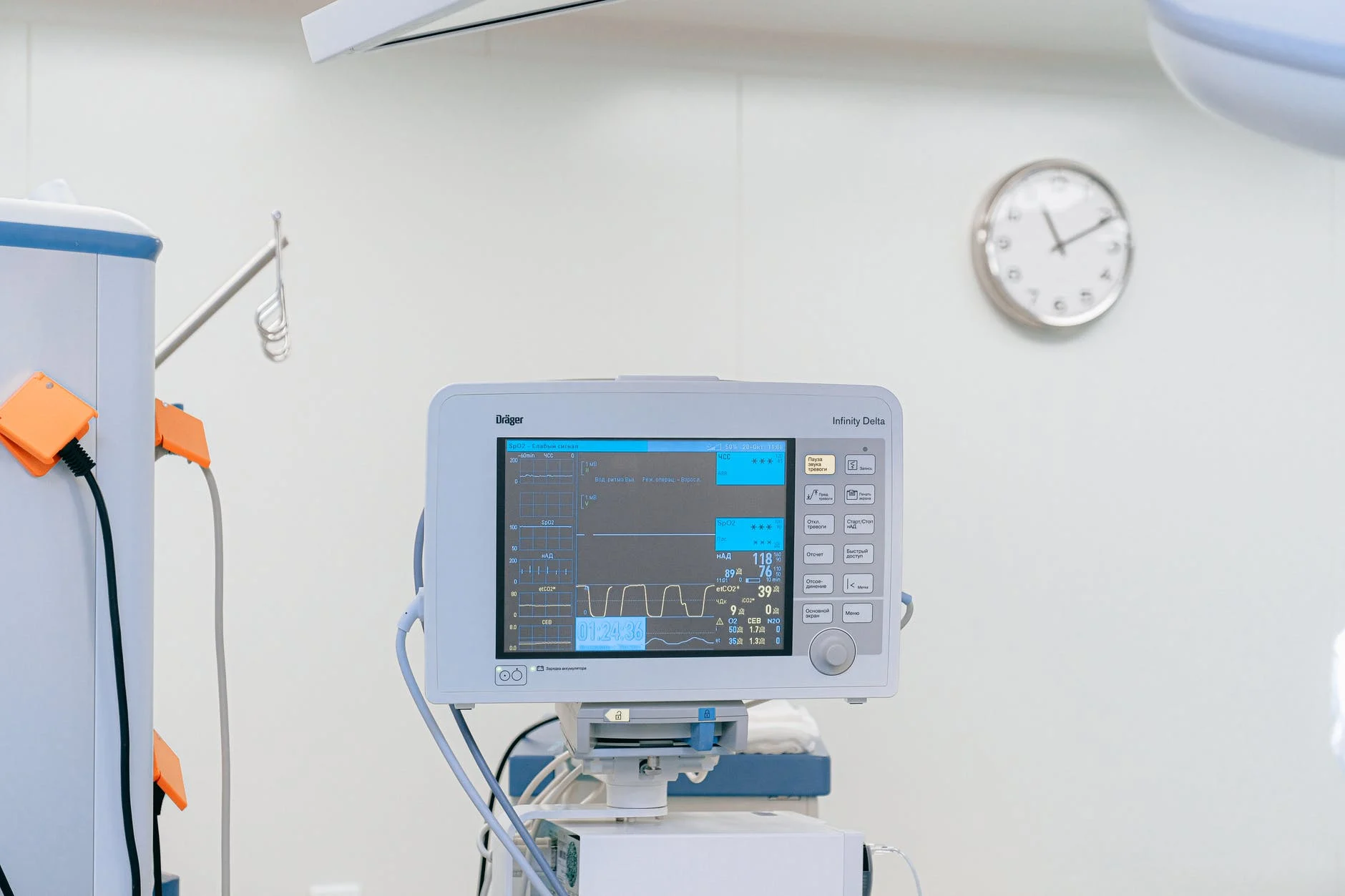 Favorise la santé cardiaque