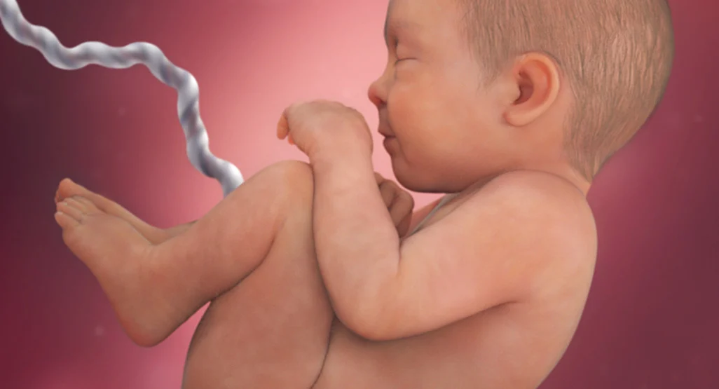 Le bébé sur le côté droit