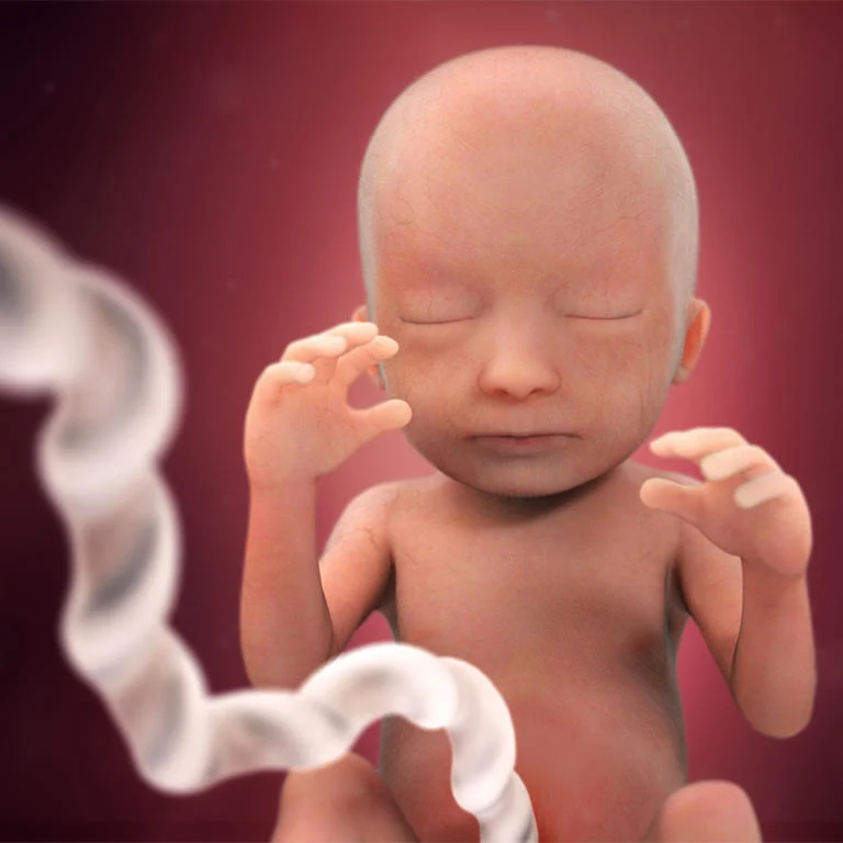 Le bébé sur le côté gauche