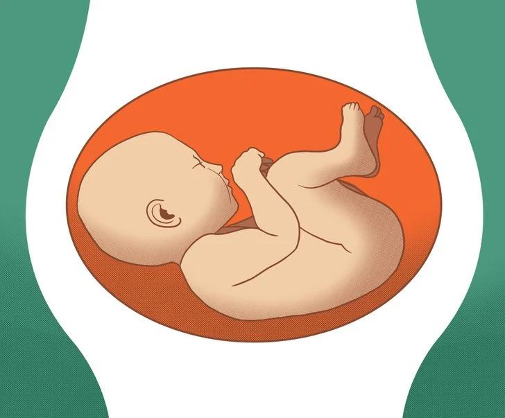Bébé allongé sur le dos