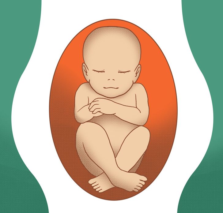 La tête du bébé vers le haut - Le bébé se présente par le siège