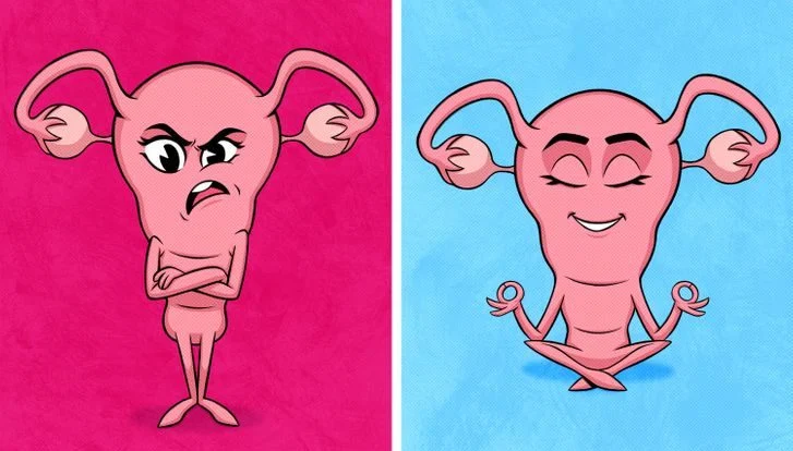 Les biscuits au pain d'épice peuvent soulager les crampes menstruelles