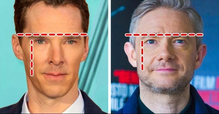 La forme et l'apparence du visage