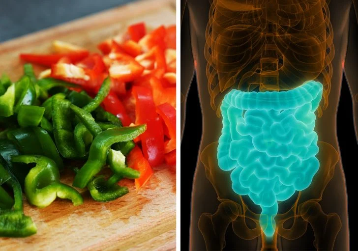 8 problèmes de santé que vous pourriez éviter si vous mangez des poivrons tous les jours7 Problèmes de digestion et poivrons