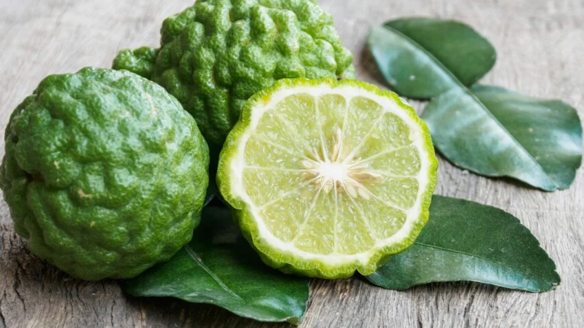 Bergamote