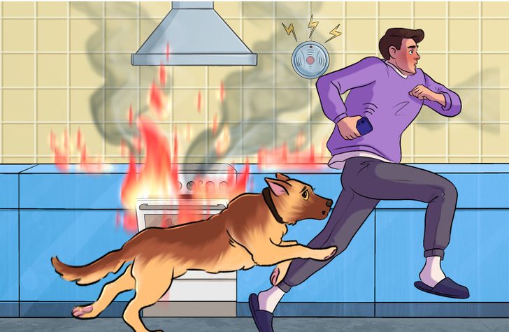 Entraînez votre chien à reconnaître un détecteur d'incendie ou de fumée