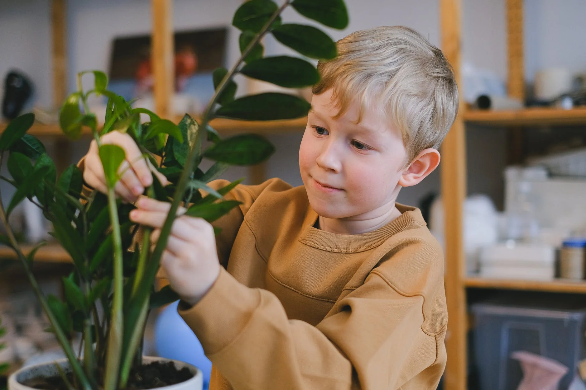 Libère les enfants du canapé