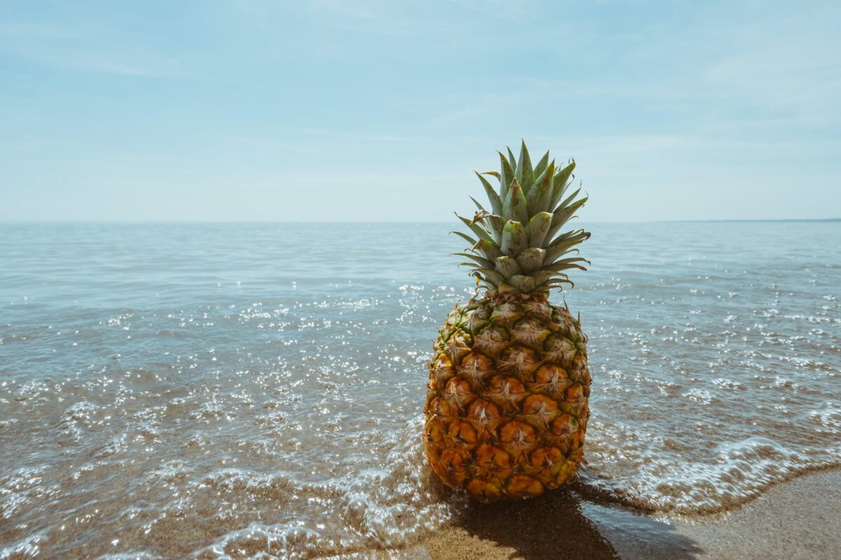 Manger de l’ananas chaque jour vous assurera ces 9 avantages extraordinaires00 Pourquoi l'ananas au juste ?