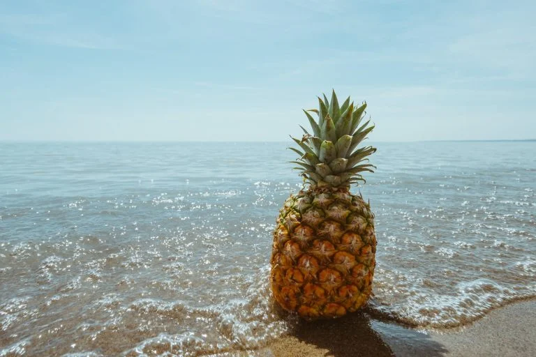 Pourquoi l'ananas au juste ?
