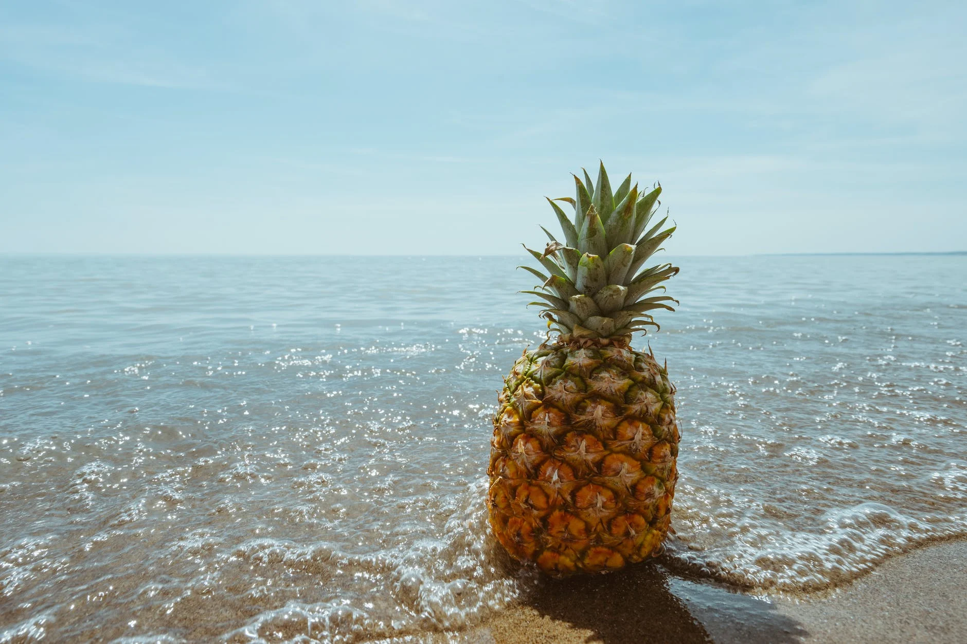 Pourquoi l'ananas au juste ?