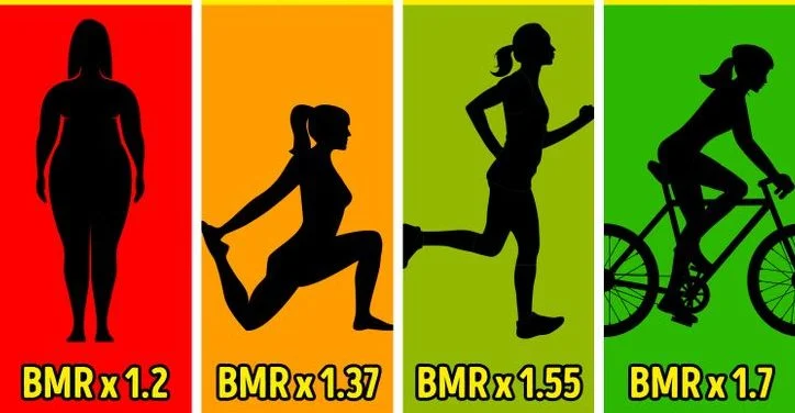Multipliez votre BMR par ces chiffres