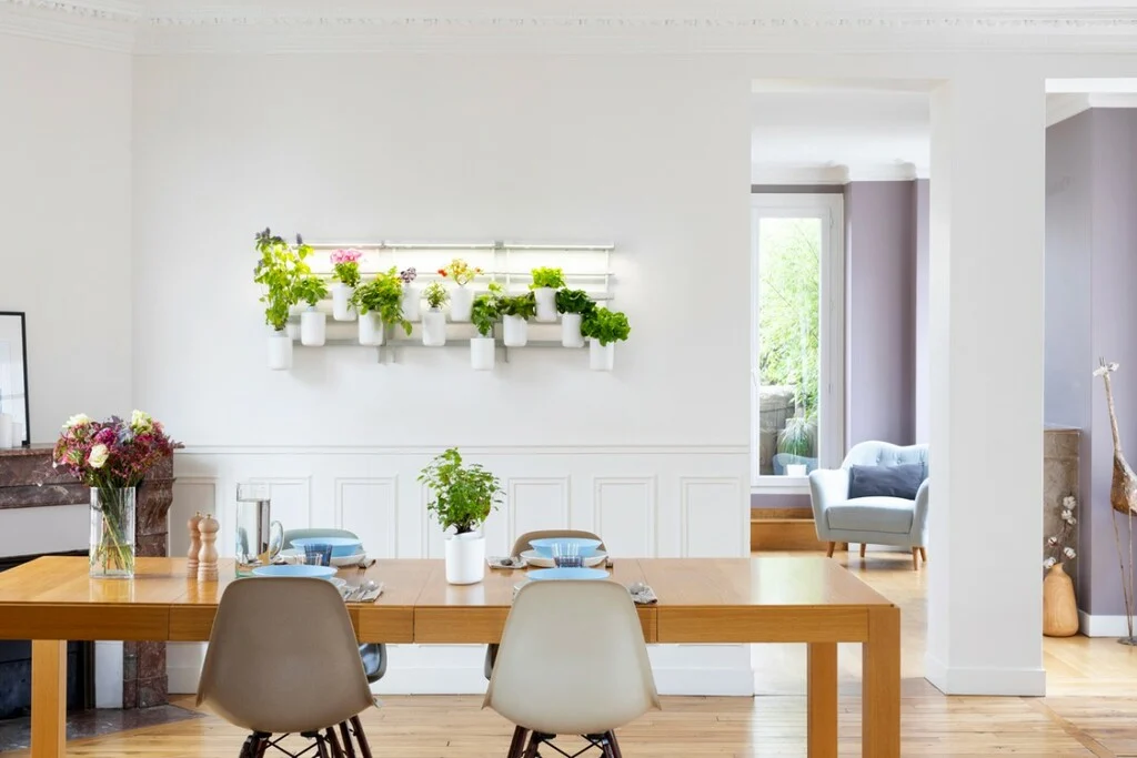 Accompagner les repas d'herbes aromatiques dans la salle à manger