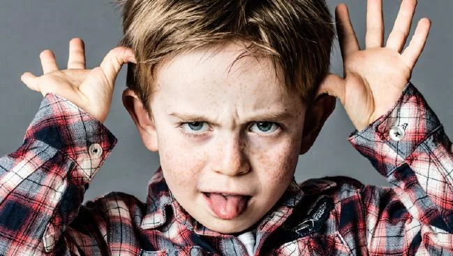 Selon une étude, les enfants têtus et rebelles sont plus susceptibles de réussir dans l'avenir