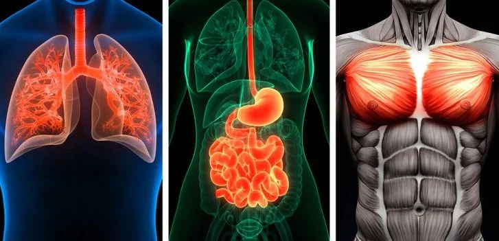 Toutes ces activités brûlent de l'énergie
