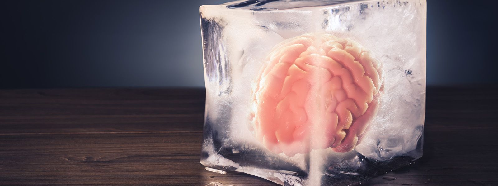 Qu’est-ce qu’un gel du cerveau 