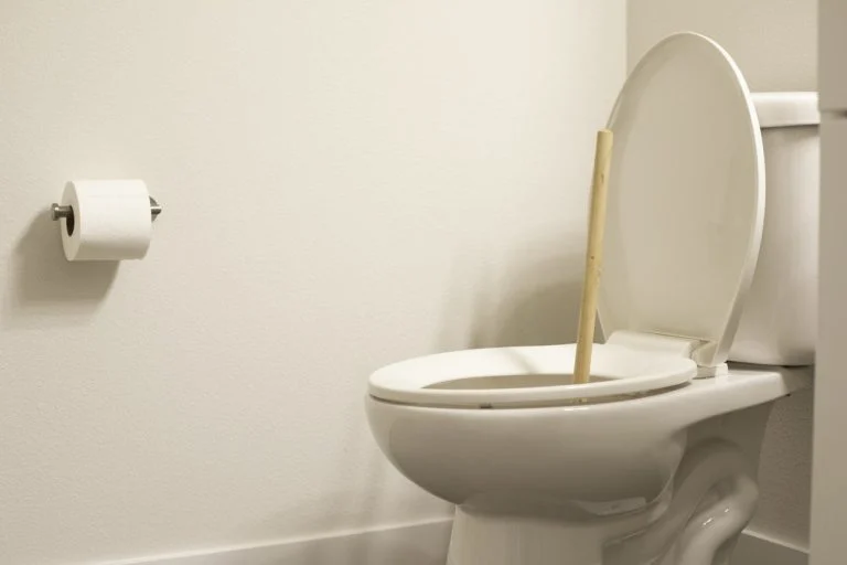 cuvette des toilettes