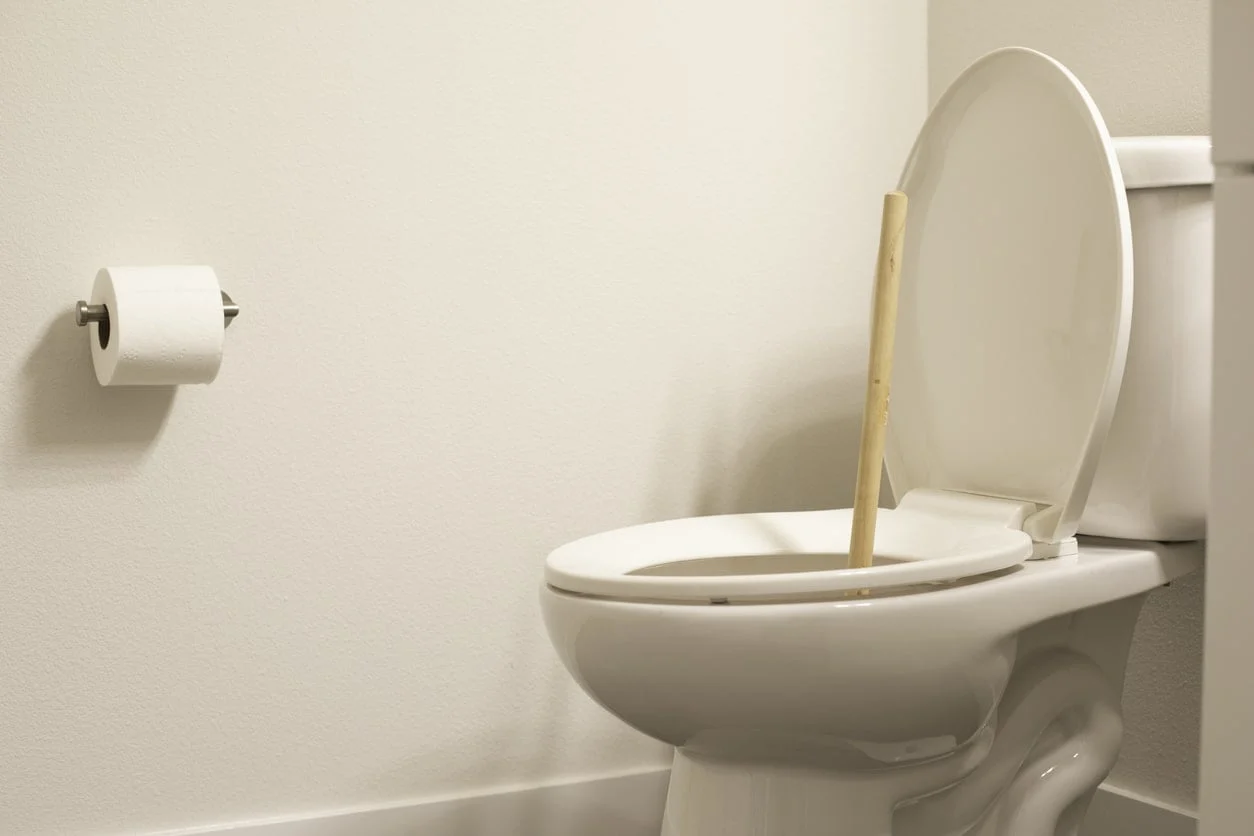cuvette des toilettes
