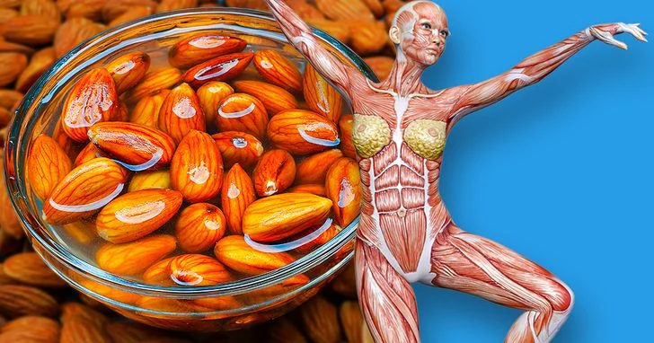 7 effets sur votre corps en mangeant des amandes tous les jours les amandes vous procurent non seulement une sensation de satiété