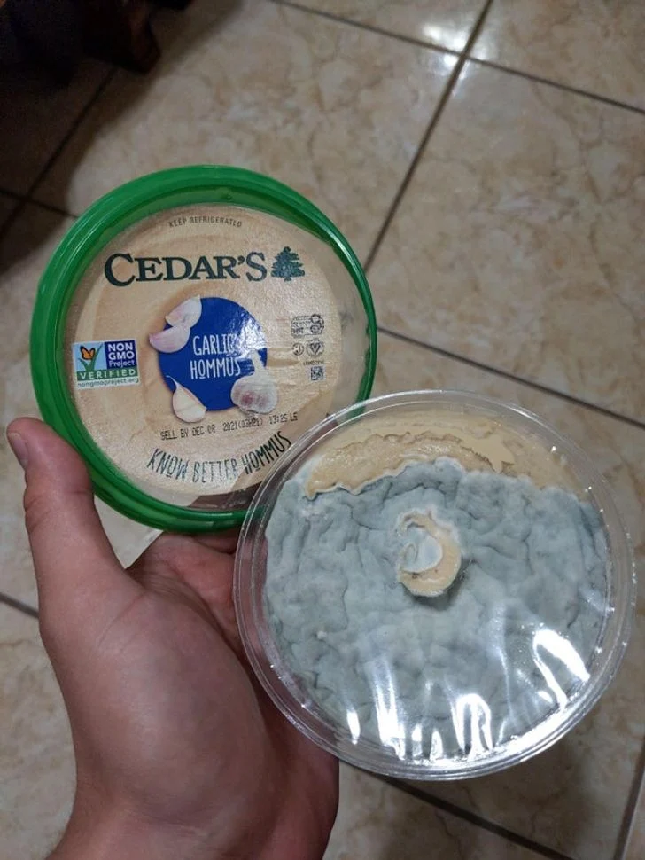 achat houmous était rempli de moisissures