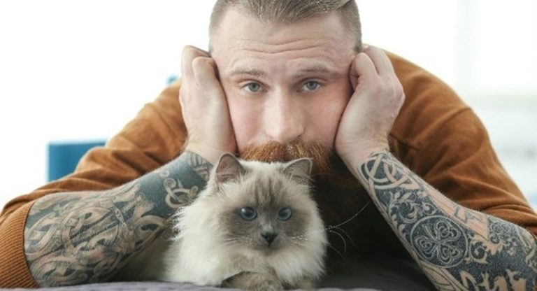 propriétaire chat vs chien