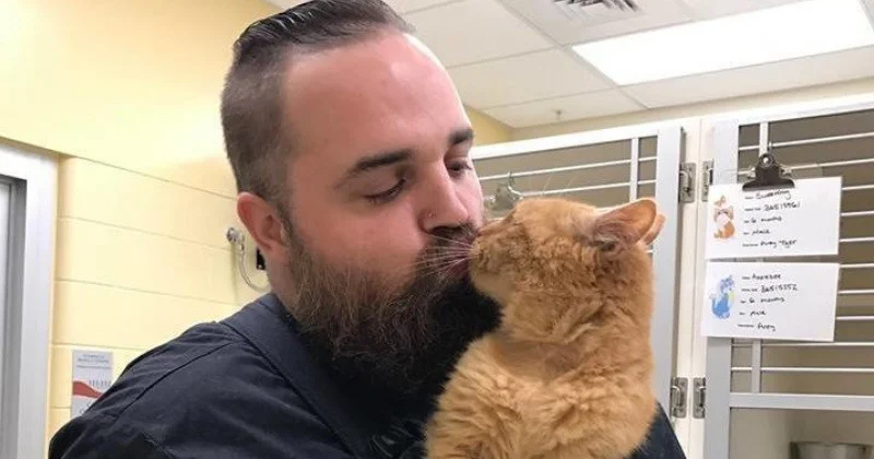 Les amoureux des chats sont nettement différents