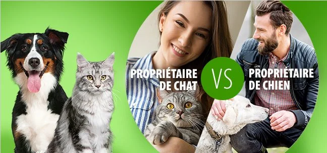 propriétaire chat vs chien