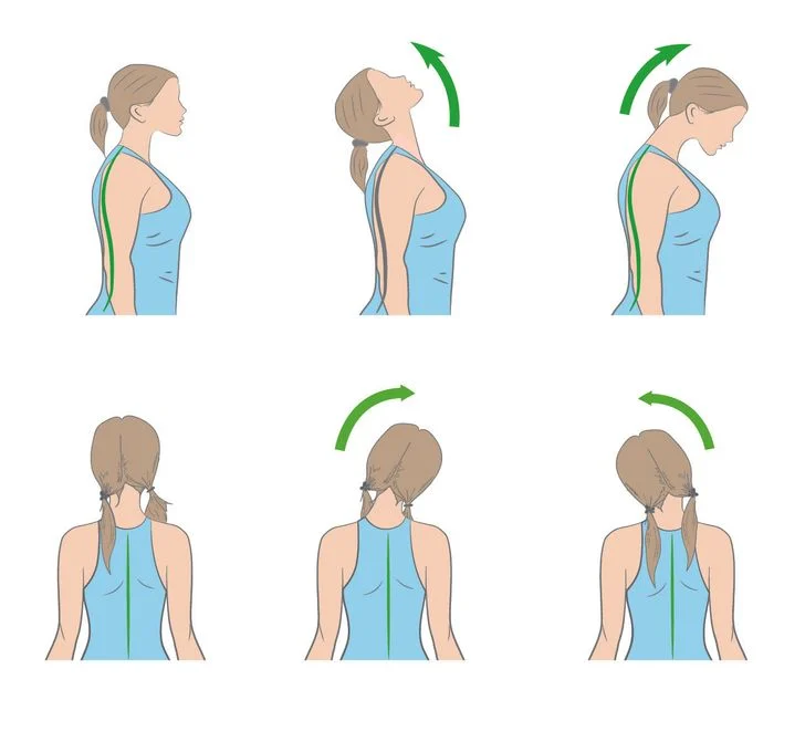 Les exercices du cou
