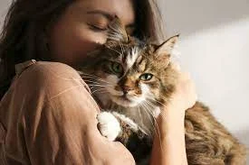 Confiance personne